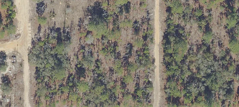 Keystone Heights Land For Sale