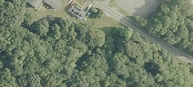 55 Acres in Rural Setting