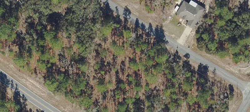 Citrus Springs Double Lot