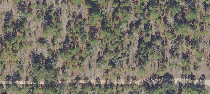 Keystone Heights Land Opportunity