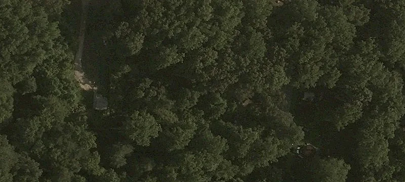 Wooded Acreage in Meadowbrook Acres