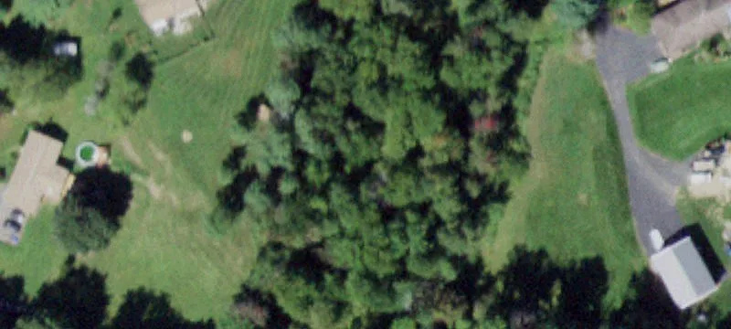 Wooded 5-Acre Residential Lot