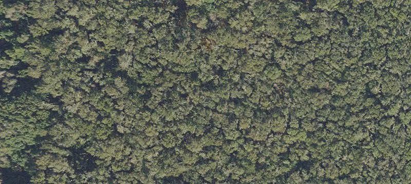 Land for Private Use