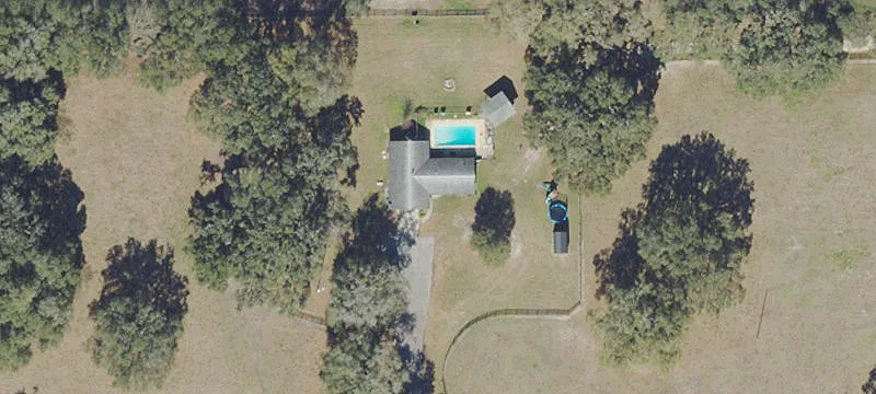 Ocala Horse Breeding and Training