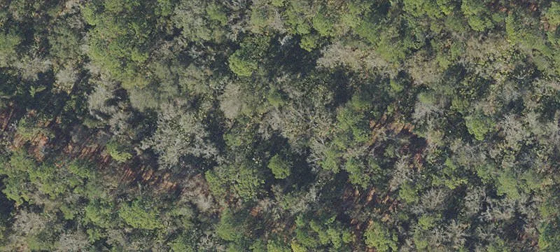 Secluded Wooded Lot For Sale