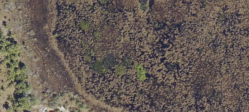 Punta Gorda 5-Acre Land