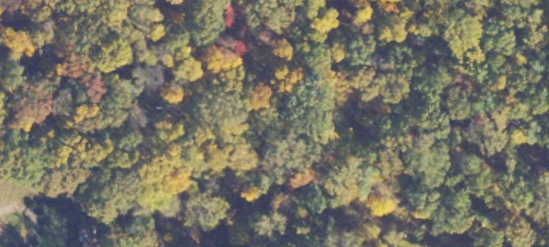 Gainesville Land with Highway Frontage