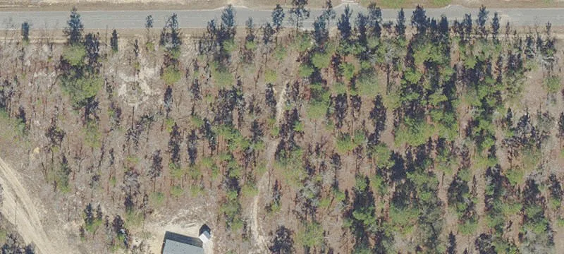 Keystone Heights Land Opportunity