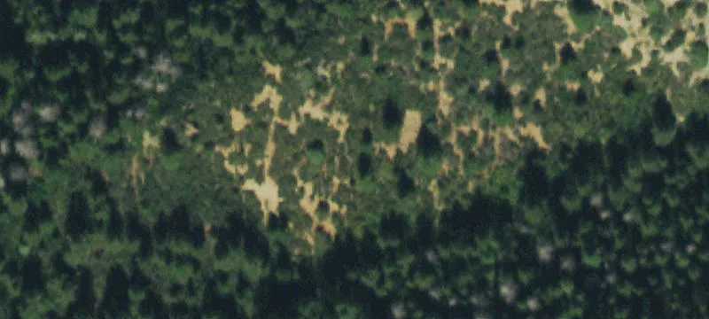 Roaring Fork River Acreage