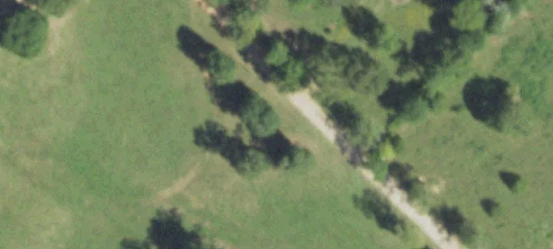 East Texas Land for Sale