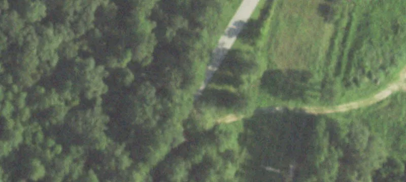 Unrestricted Lot in Roman Forest