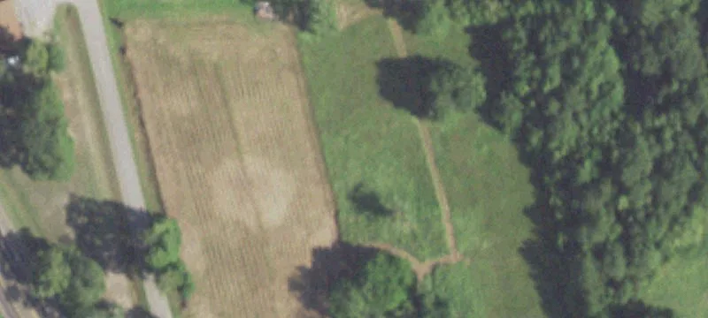 10 Acres in Tarkington ISD