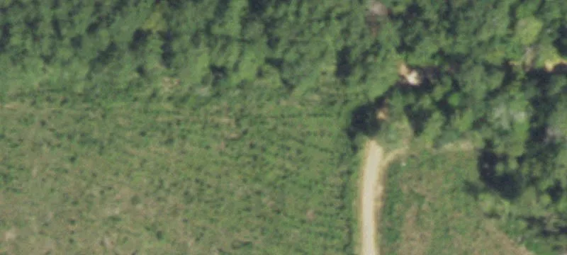 East Texas Land Opportunity