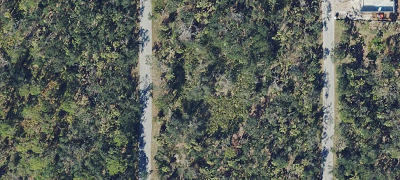 Buildable Lot in Port Charlotte