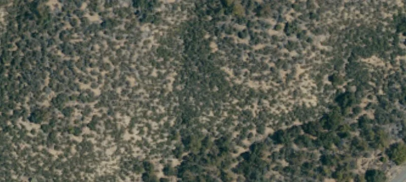 41.45 Acres on Wine Trail