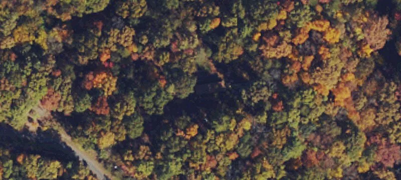 Rustic Cabin on Wooded Lot