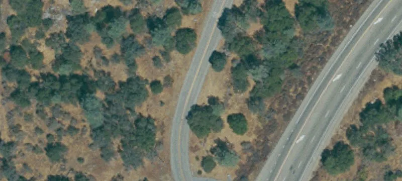 20 Acres with Road Frontage