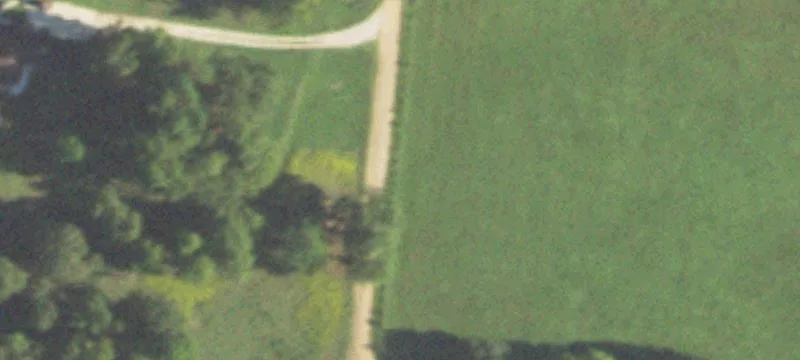 Ranch Home on 29 Acres