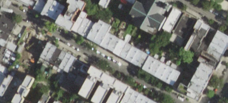Harlem Townhouse with Owner's Duplex