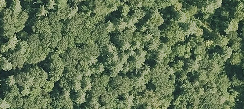 Former Wagon Wheel Campground Estate