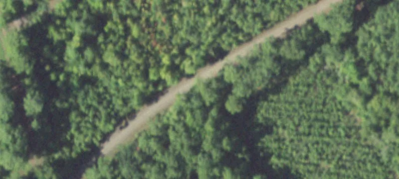 Land Near Toledo Bend Reservoir