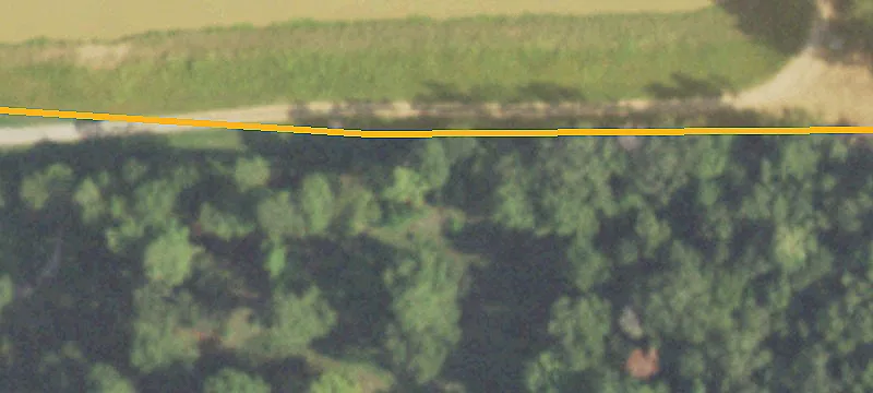 Unrestricted Lots in Roman Forest