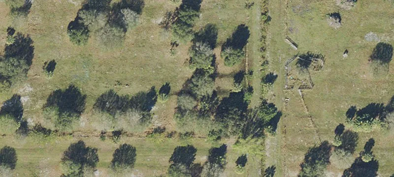 Treed Acreage Subdivision Potential