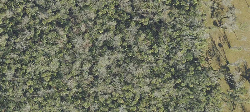 Subsurface Rights Investment Opportunity