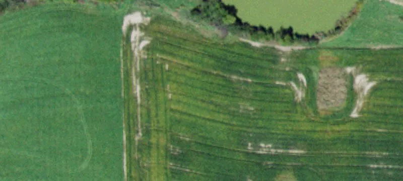 Two-Parcel Land Ready to Build