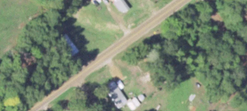 Pine Plantation Investment Opportunity