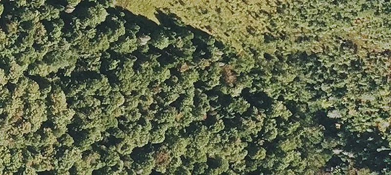 45 Acres with Route 3 Access