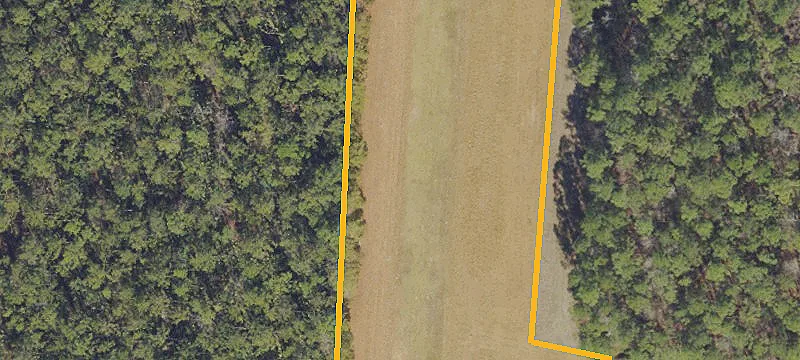 30+ Acre Land with Pond