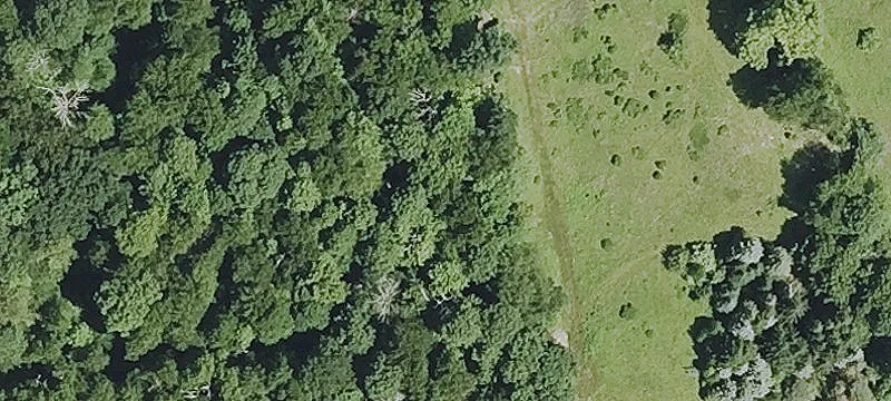 Codfish Hill Road Property