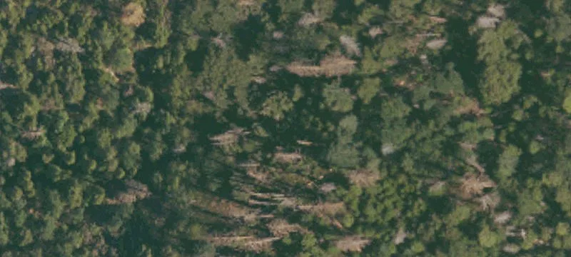 Bass Lake Land Parcel