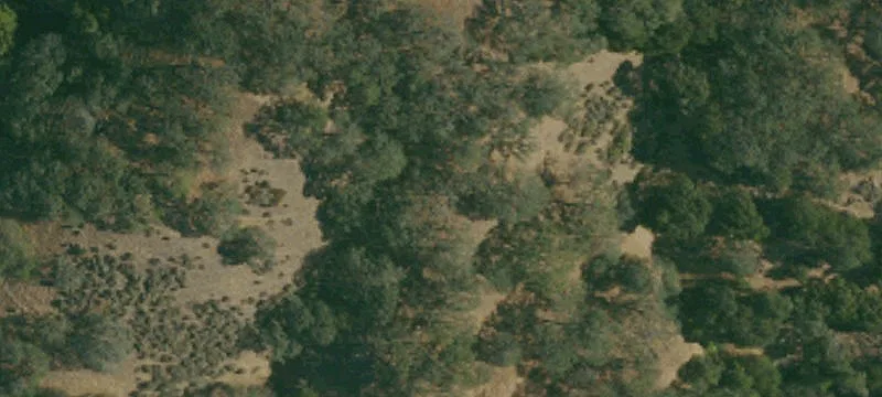 Evergreen Area Development Opportunity