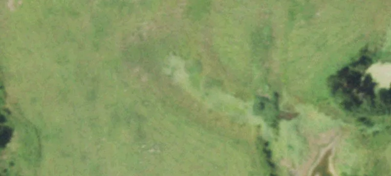 42.5 Acres Corner Property Groveton