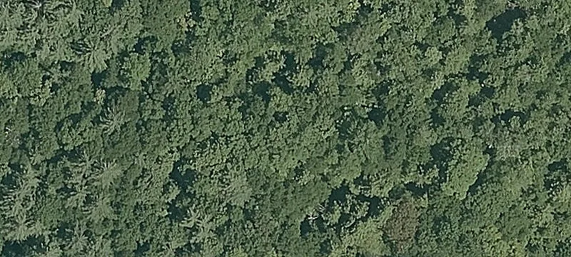 Wooded Parcel Near State Airport