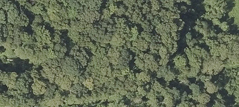 16.1 Acre Commercial/Residential Land
