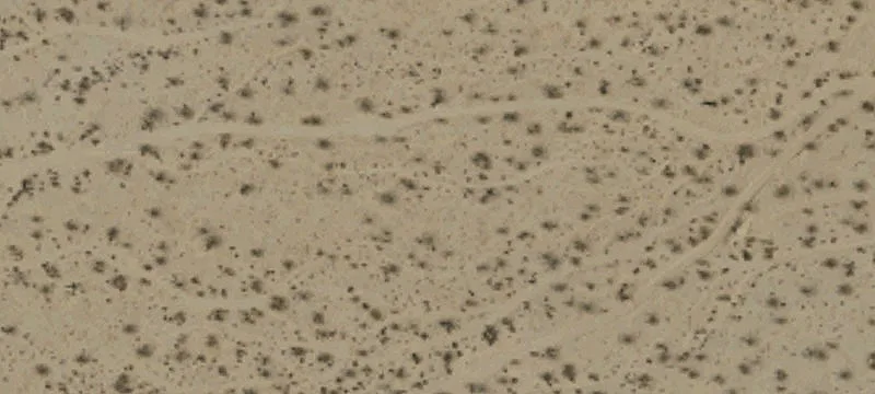 Yucca Valley Desert Land