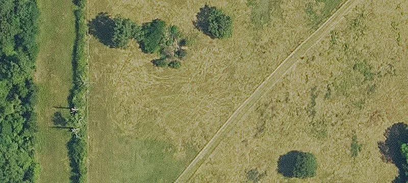 5 Acre Wooded Tract