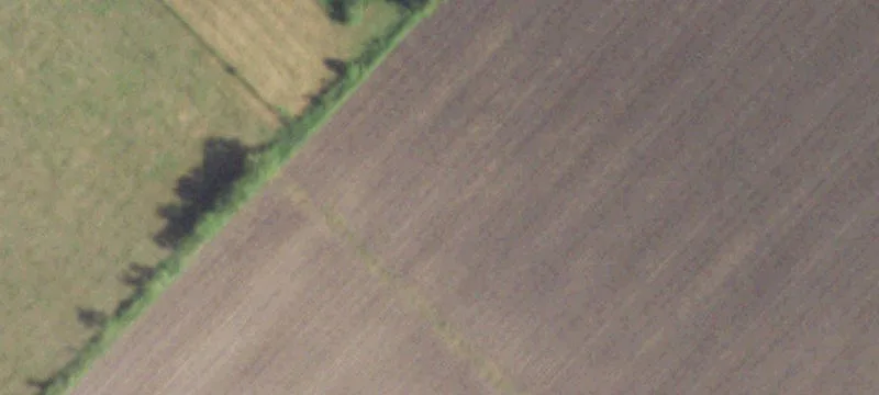 Fertile Cropland and Wooded Acreage