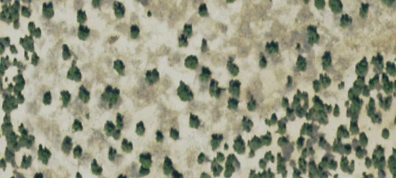 Land for Agricultural Use