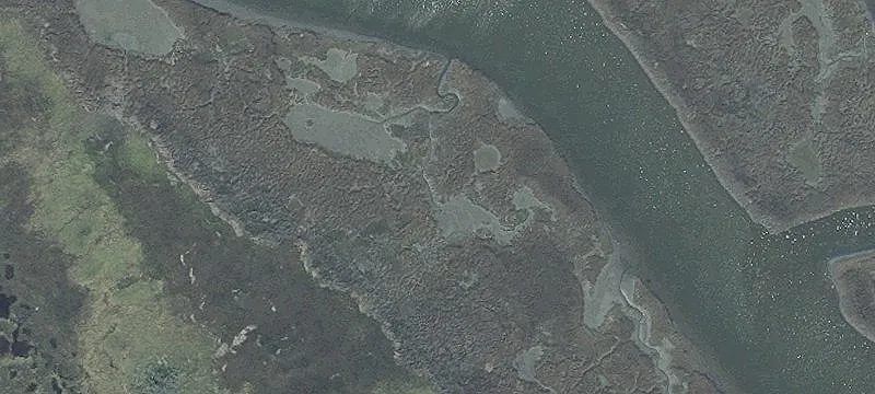 Waterfront Goat Island Opportunity