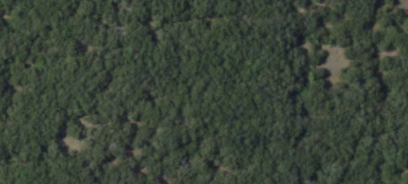 35.5 Acres Hunting Land Breckenridge