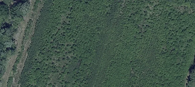 Expansive Farmland Bordering Potomac River