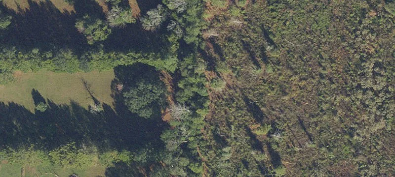10-Acre Property Near Amenities