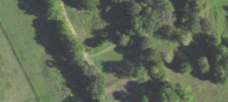 Equestrian Property Near New Waverly