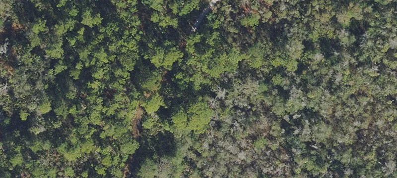 Residential Lots in Crystal Heights