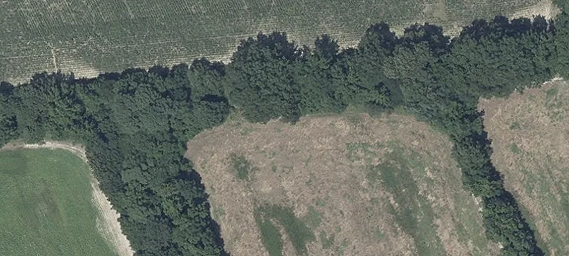 Royal Oak 14-Acre Parcel