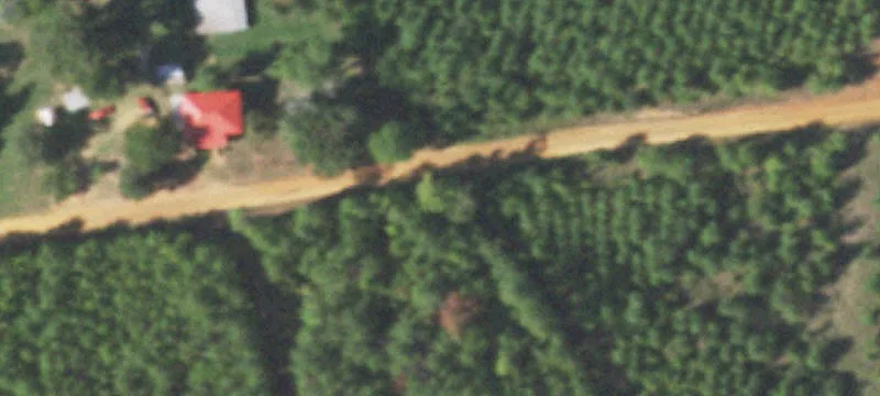 Unrestricted Wooded Land Near Lake